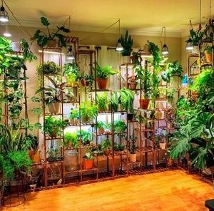 Meet your Posher, Drew